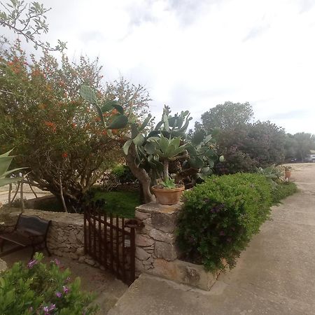 Casa Rural Es Cap De Barbaria San Francisco Javier Exterior photo