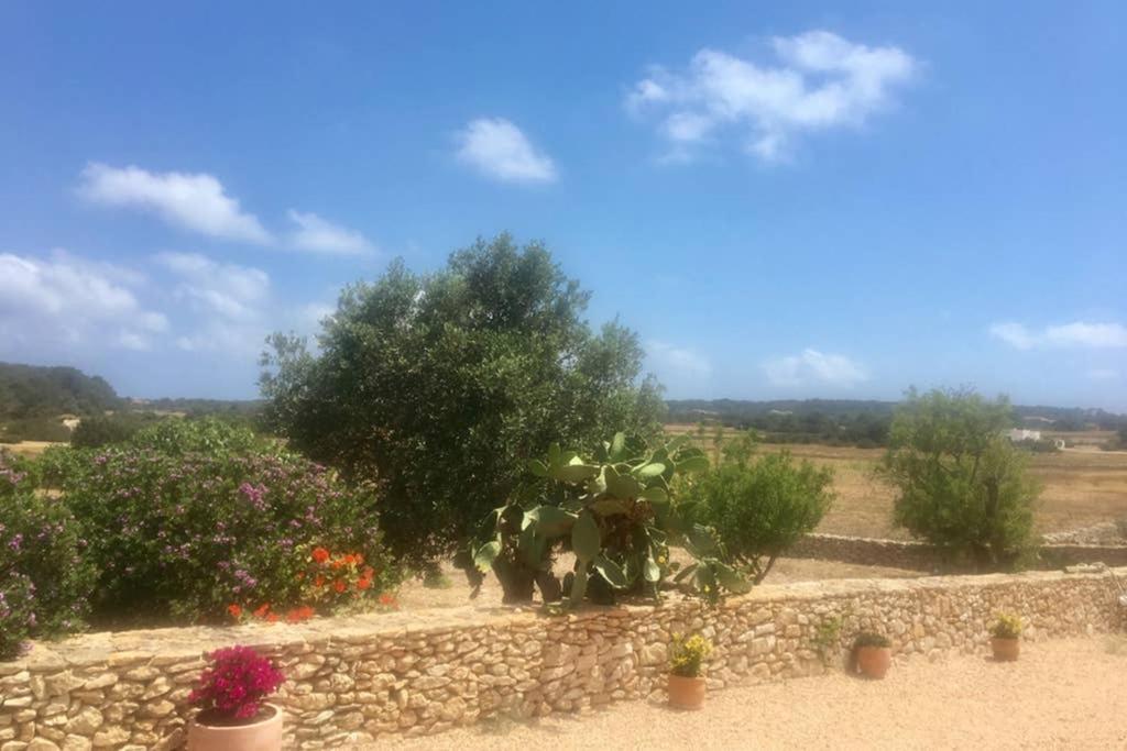 Casa Rural Es Cap De Barbaria San Francisco Javier Exterior photo