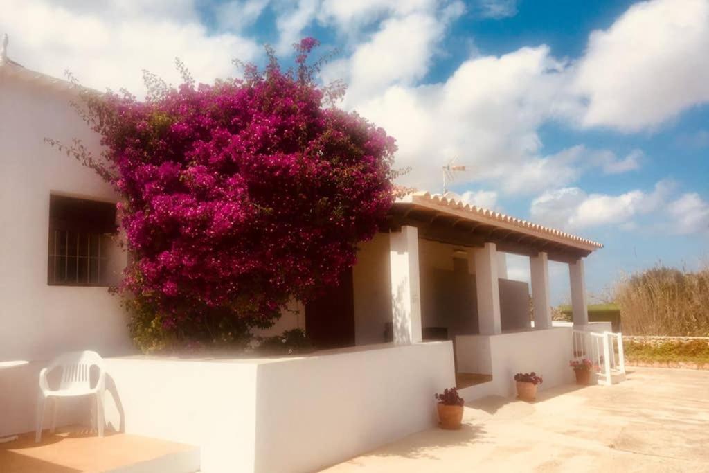 Casa Rural Es Cap De Barbaria San Francisco Javier Exterior photo
